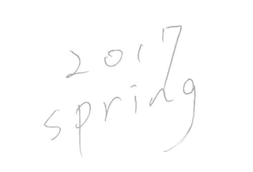 2017spring